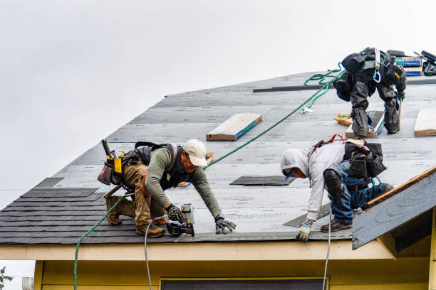Professional Roofing technician working in New Braintree, MA